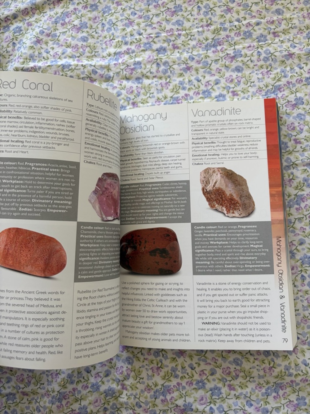 The Crystal Handbook - Picture 2 of 3